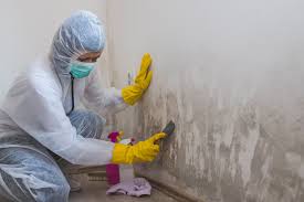 Best Water Damage & Mold Remediation  in Lake Geneva, WI